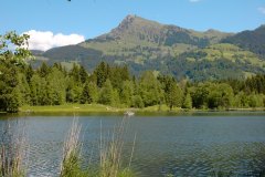 Kitz2004050