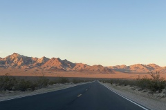 IMG_4301
