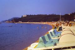Lloret84008