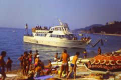 Lloret84010
