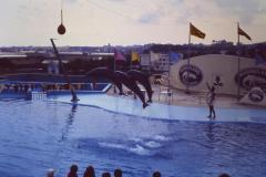 Lloret84039