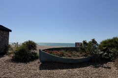 IMG_2841