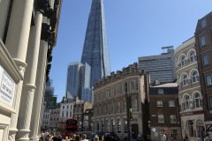 IMG_2951