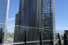IMG_2975