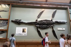 IMG_2784