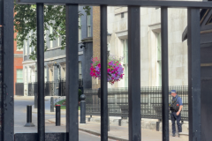 vlcsnap-2026-08-15-09h00m37s771