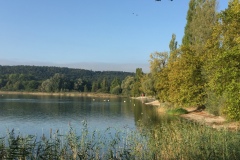 Mainau003