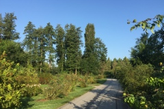 Mainau005