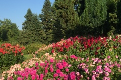Mainau008