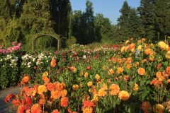 Mainau010
