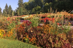 Mainau013