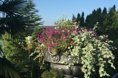 Mainau019