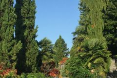 Mainau020