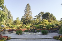 Mainau021