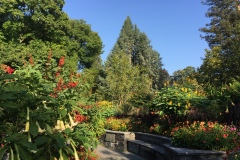 Mainau022