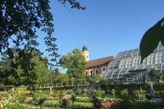 Mainau024
