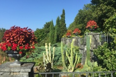 Mainau036