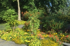 Mainau037