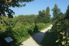 Mainau040