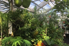 Mainau047