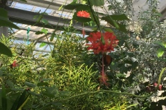 Mainau048