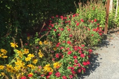 Mainau058
