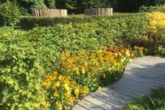 Mainau060