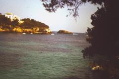 PICT0291