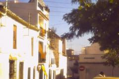 PICT0566
