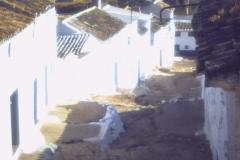 PICT0594