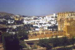 PICT0597