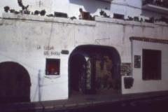 PICT0627