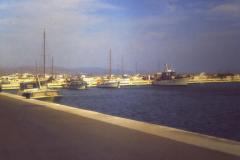 PICT0639
