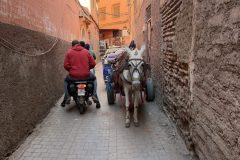 IMG_0102-scaled