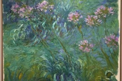 Claude-Monet-Agapanthus