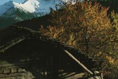 Morgins 1993