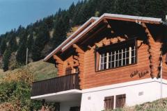Morgins_001