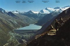 Wallis007