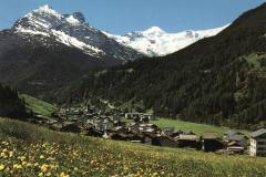 Wallis008