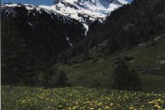Wallis020