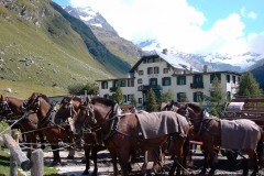 Moritz2002S051