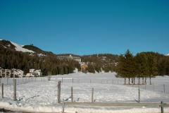 Moritz2002W002
