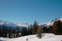 Moritz2002W018
