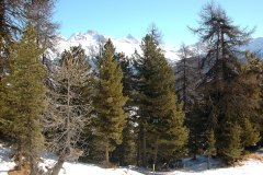 Moritz2002W019
