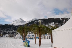 Moritz2002W040