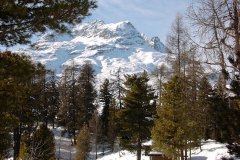 Moritz2002W049
