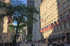 NYC2017036