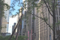 NYC2017038