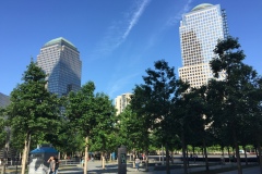 NYC2017060