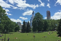 NYC2017118